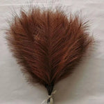 plumes séchées naturelles rustiques modernes beige rose blanc bleu décoration extérieure fête mariage