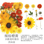fleurs séchées multicolores naturelles variées feuilles séchées décor maison artisanat enfant autocollants journal