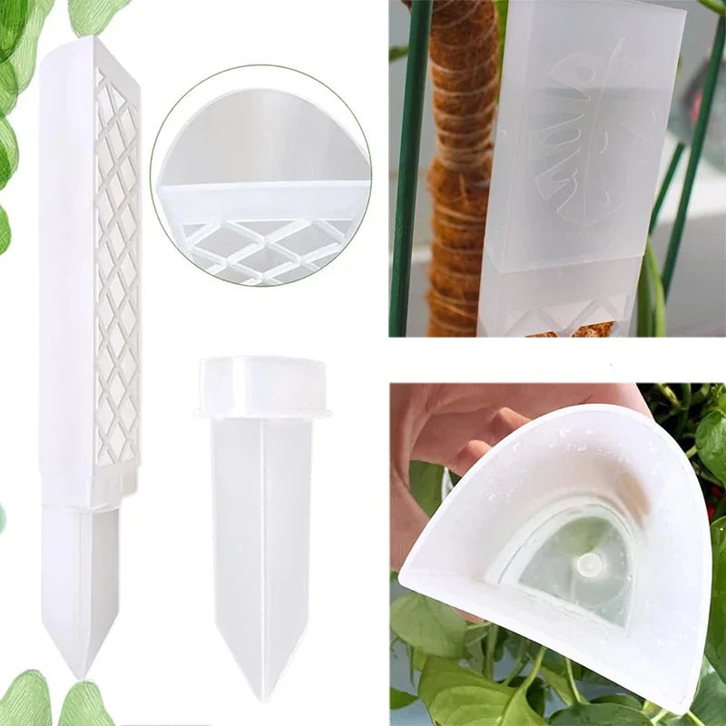support plante transparent moderne adhésif bouchon remplissage base semi circulaire diamant grille blanc