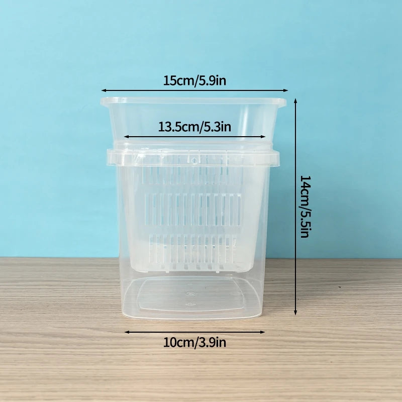 Pot plante moderne auto arrosant transparent controle racines drainage ornemental fleuri