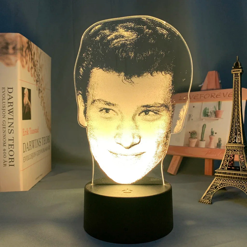 lampe nuit 3d portrait johnny hallyday veilleuse led couleur changeante telecommande usb