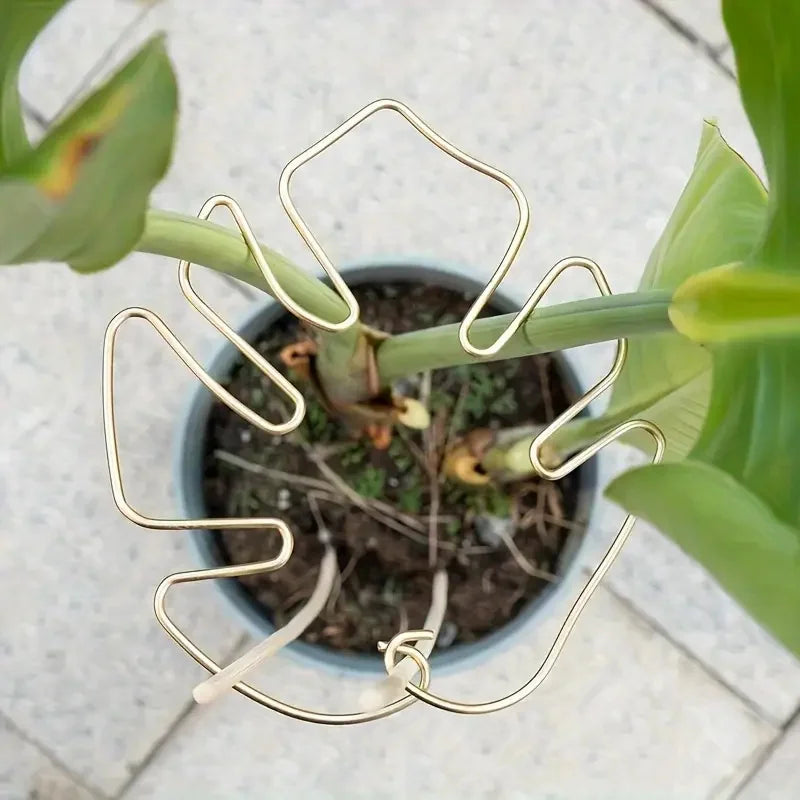 support murale plante acier robuste extérieur intérieur moderne vert doré clips facile