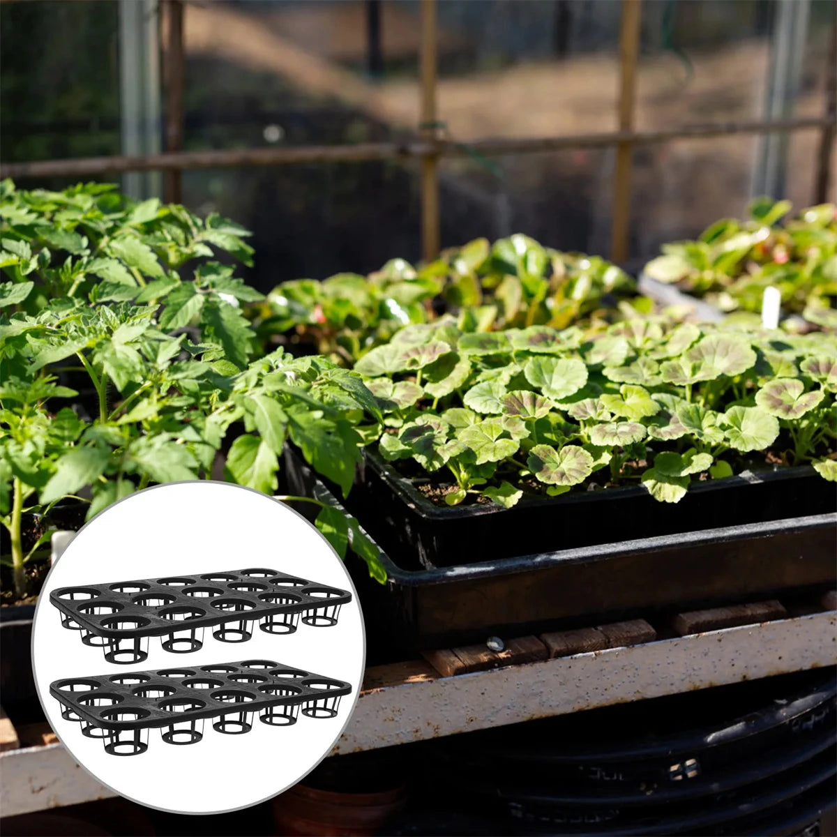 grille culture semis noire 12 trous 15 trous durable réutilisable transporte pots fleurs