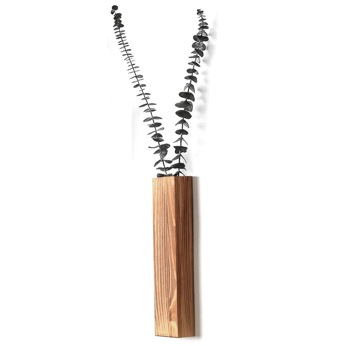 vases muraux bois clair minimaliste eucalyptus roses séchées plante décoration intérieure vert foncé rustic