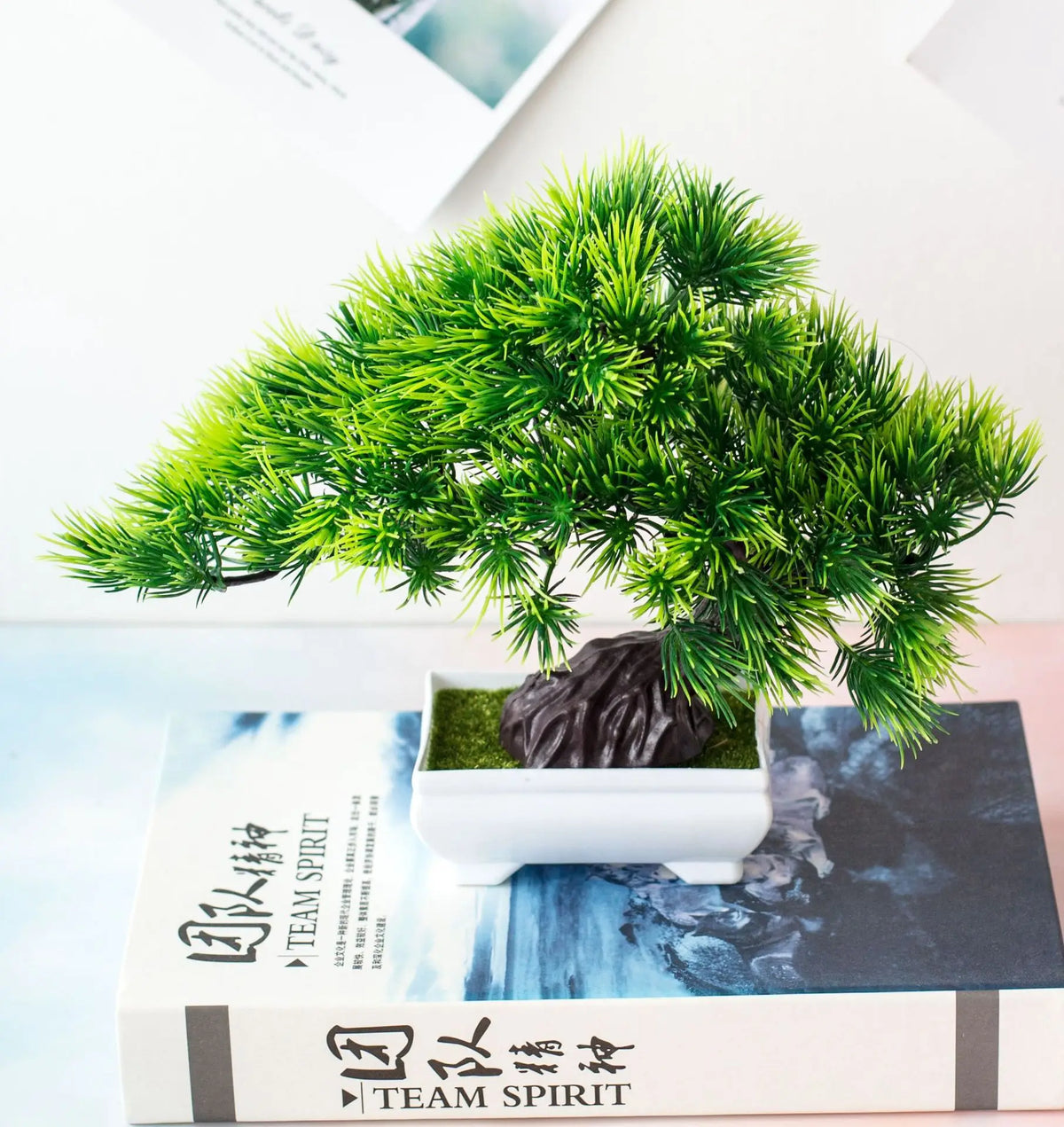 plante artificielle bonsaï miniature pot blanc vert décoration intérieur jardin maison