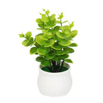 plantes artificielles vertes moderne pot blanc décoration extérieur feuilles simples anniversaire exposition réaliste