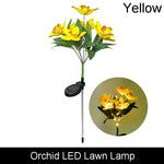 lumière solaire bouquet papillons colorés feuilles vertes moderne violet orange jaune
