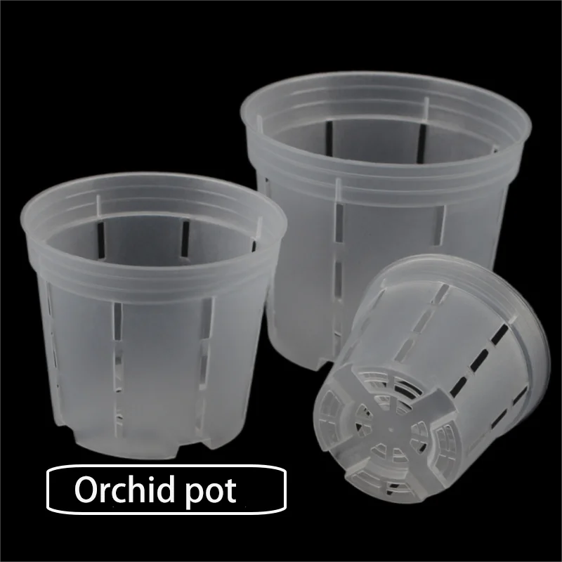 pots orchidées transparents trous moderne pièces drainage racines fleurs plantes