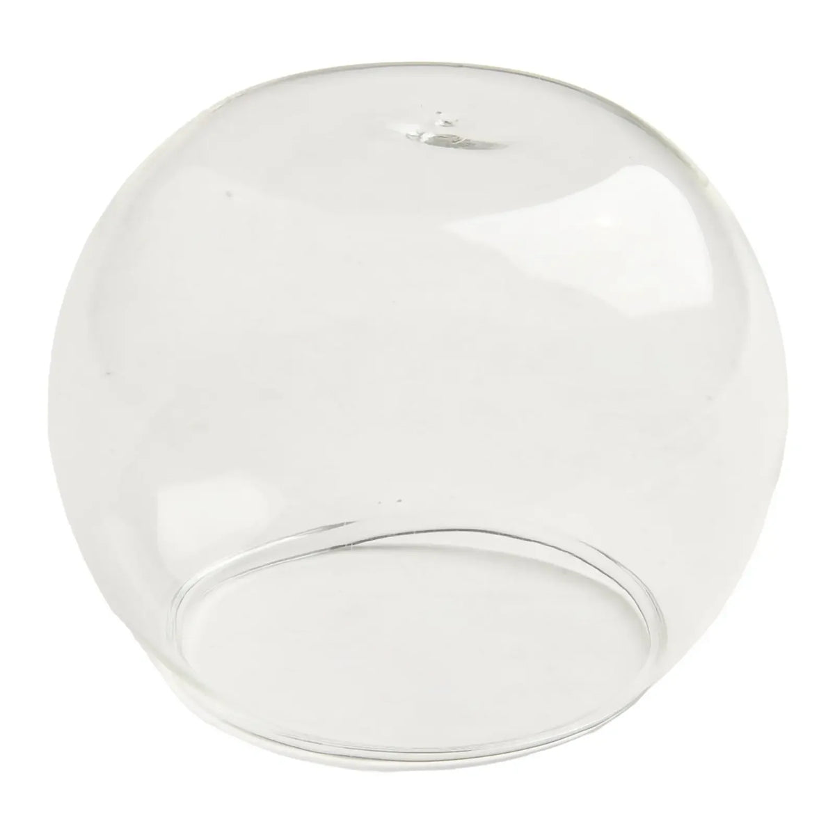 boule verre transparent moderne décoration intérieure élégante minimaliste vase terrarium fleurs succulentes