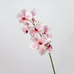 fleurs artificielles orchidées violettes blanches modernes décoration intérieure maison mariage anniversaire