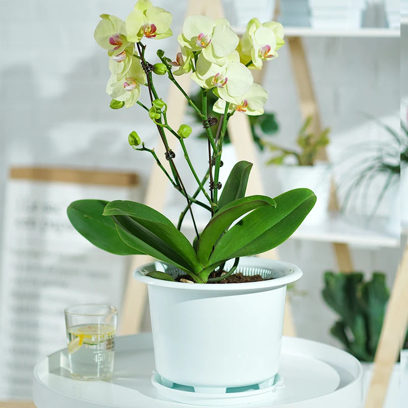 pots fleurs plastique blanc moderne drainage racines intérieur élégant ventilation plantesextérieur