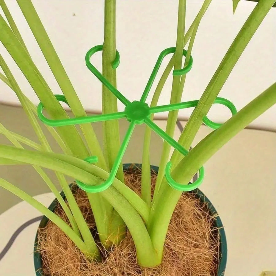 supports plantes vert moderne clips plastique autonome geometrique étoile fixations