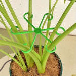 supports plantes vert moderne clips plastique autonome geometrique étoile fixations