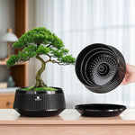 Pot bonsaï moderne saucer noir rayures verticales drainage 12cm 21cm