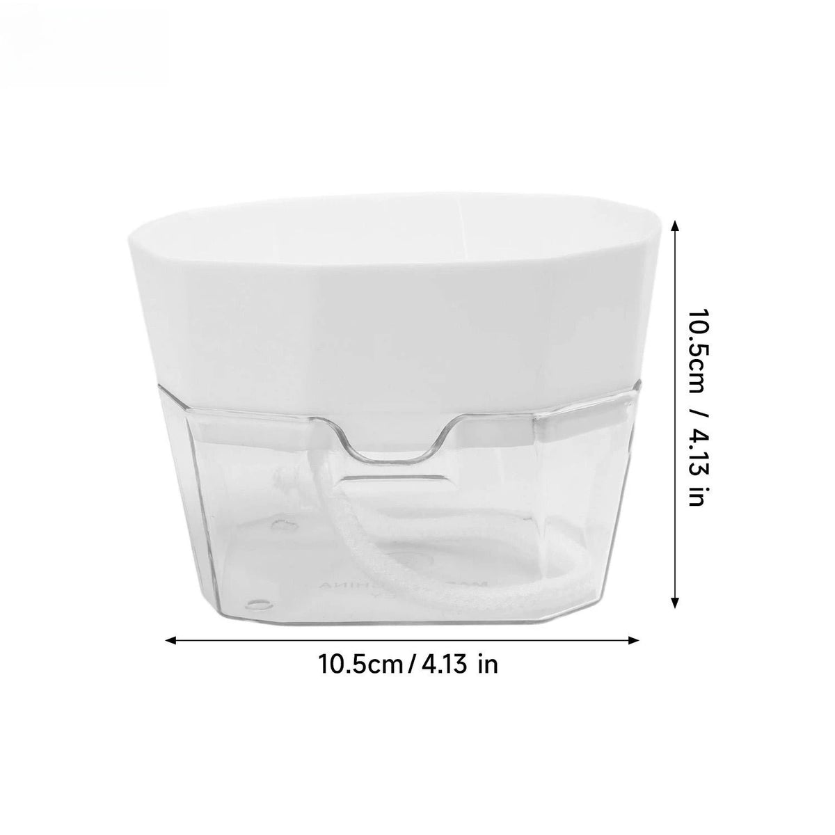 pots hydroculture transparents racines visibles narcisses jacinthes tulipes moderne minimaliste