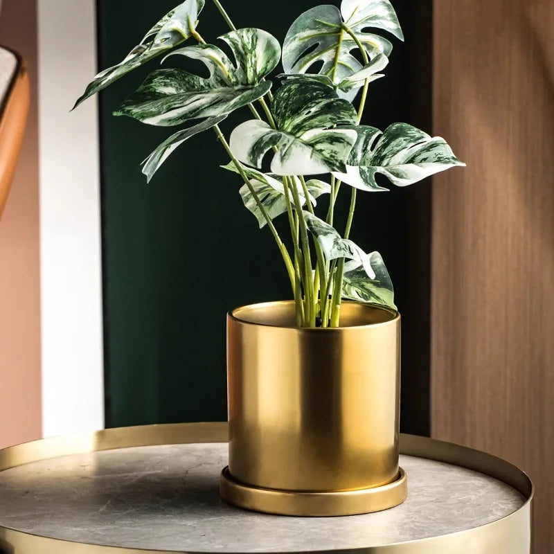 Accessoire deco ceramique doré pour plantes interieur elegantes
