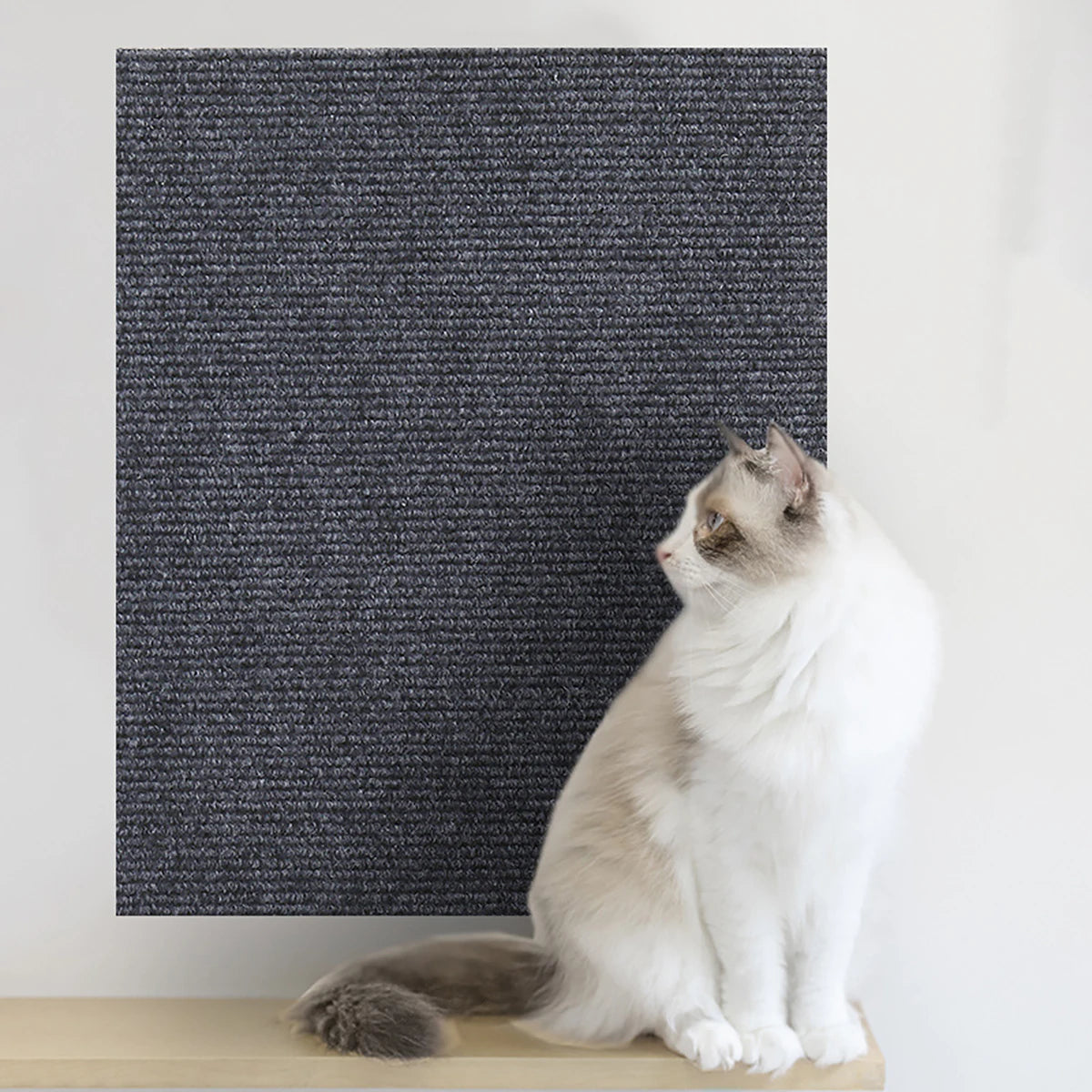 tapis chat adhésif beige gris noir moderne anti rayures protection meubles fixe