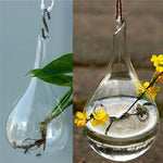 vase suspendu moderne transparent sans décoration fleurs eau decoration mariage