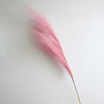 décoration mariage boho herbe pampas artificielle 100cm plumes séchées naturel rustique intérieur anniversaire