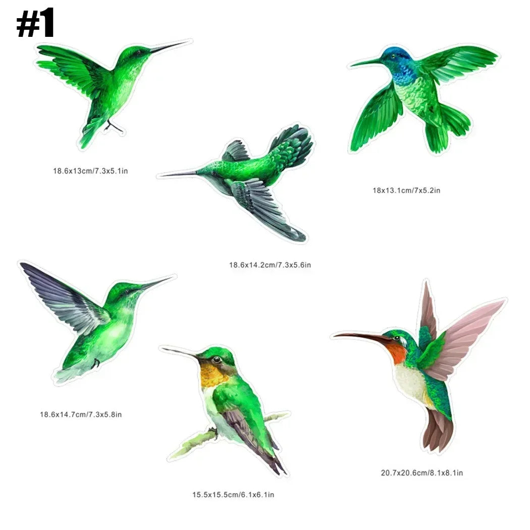 sticker oiseau vol vert bleu jaune blanc réaliste mur adhésif decoration maison fenetre pièces