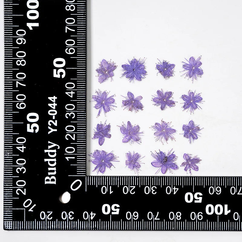fleurs artificielles violet bleu rouge modernes decoration intérieur anniversaire pressées naturelles