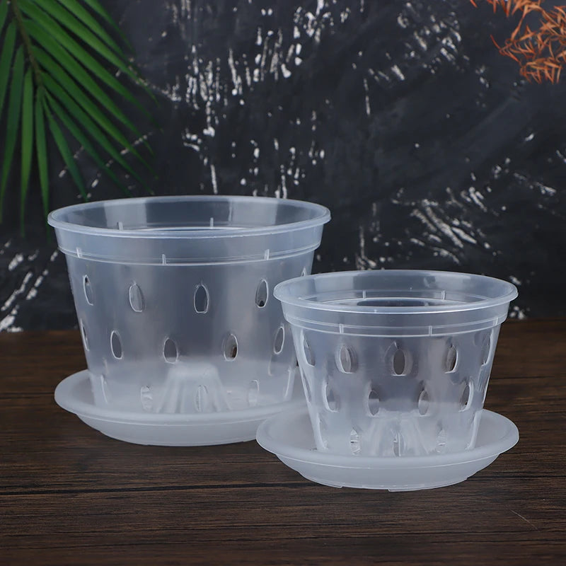 pots semis transparents perforés pratique plateau fleur verte plastique moderne