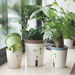 pot plante autoarrosant hydroponie intérieur moderne vert clair siphonage fleuri grille dimensionnée