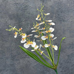 bouquet fleurs artificielles orchidées orange jaune rose blanc bleu modernes decoration mariage anniversaireintérieur
