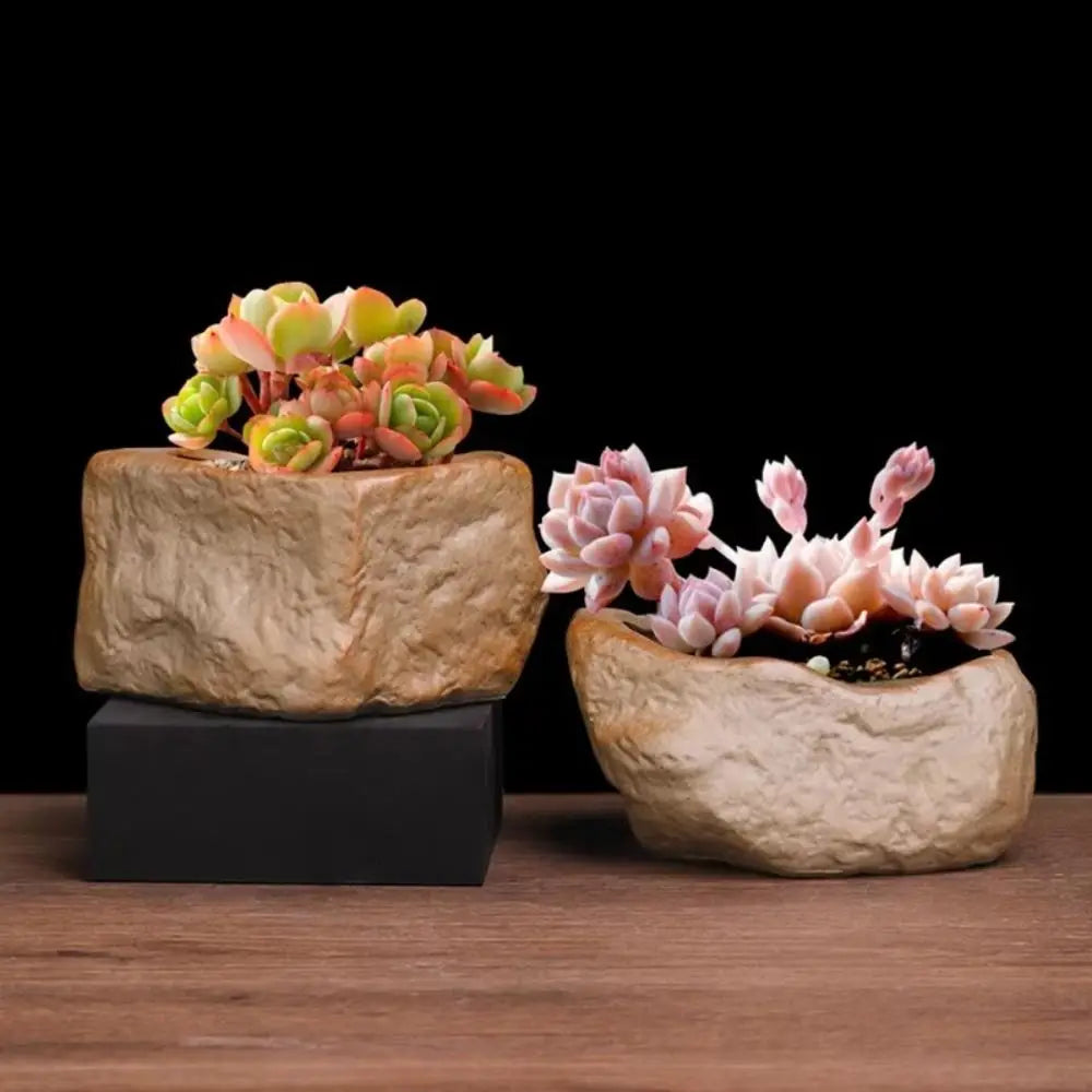pots plantes succulentes céramique forme pierre drainage moderne naturel opaque marron rocheux