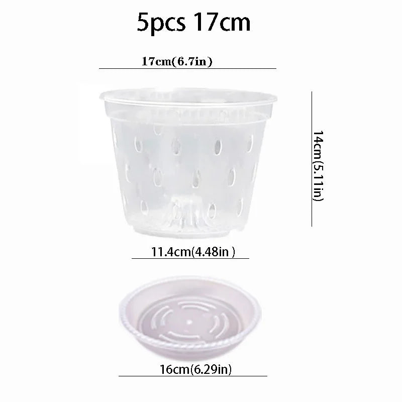 pots plantes transparents perforés modernes plateaux 11 12.5 14 15 17cm orchidées