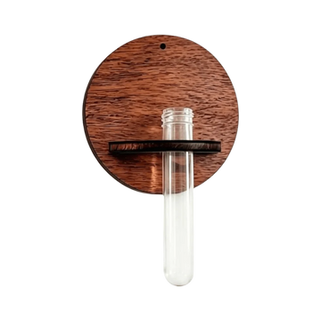 support mural bois moderne vase transparent plante verte étagère mur minimaliste fixations