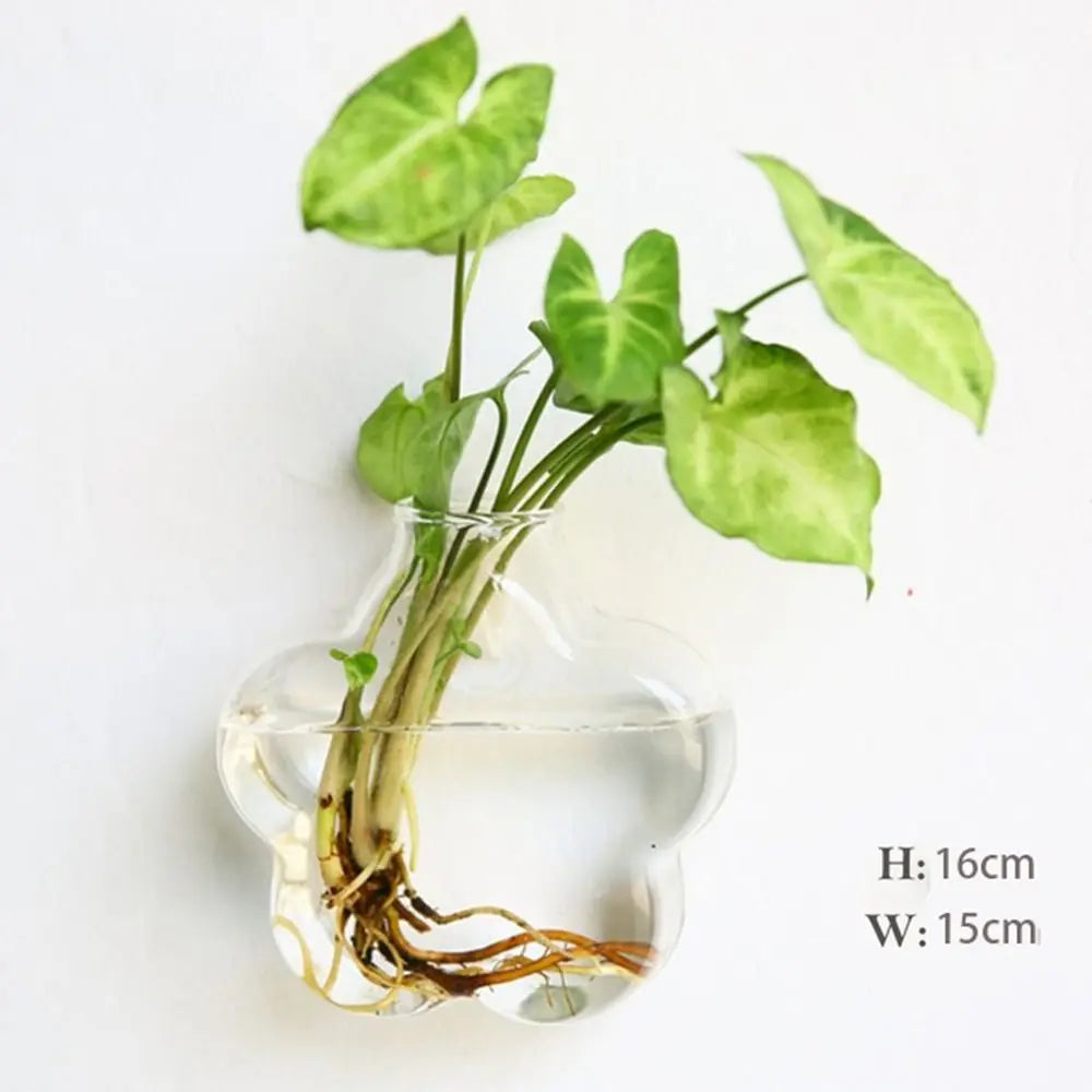 vase transparent moderne verre plante racines intérieur décoration hydroponique fleur