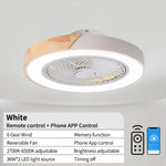 ventilateur led télécommande vitesses moderne blanc gris noir vert rose bleu