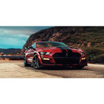 toile d'art moderne voiture sportive roses dorées visage humain mains fleur rouge noir blanc