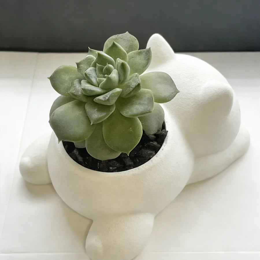 cache pot forme chat blanc noir gris moderne plante succulente doux mignonintérieur decoration