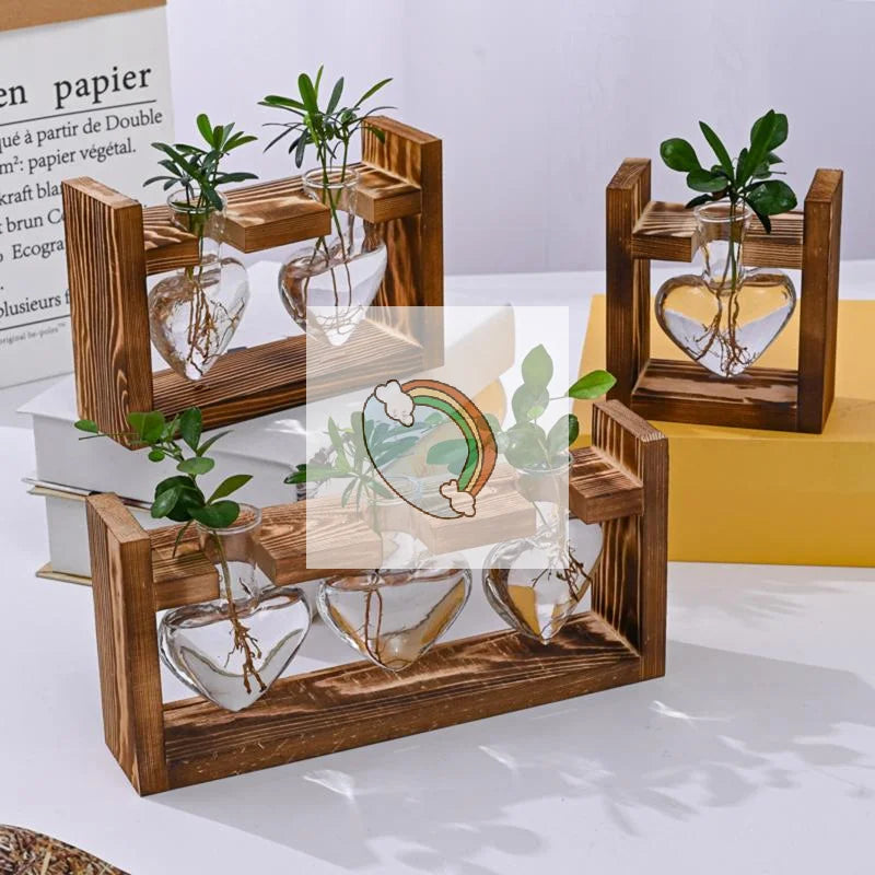 support plantes cadre bois marron verre transparent modernes vases coeurs plantes vertesintérieur décoration minimaliste