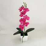 orchidées artificielles fleurs blanches roses intérieur décoration maison bouquet polyesters modernes minimalistes
