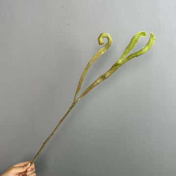 feuilles fougère séchées vertes décoration maison anniversaire arrangement floral vase intérieur naturel plastique