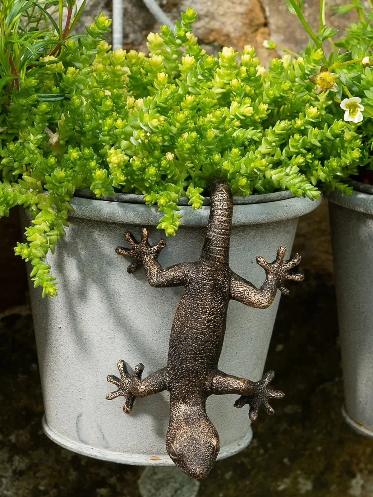 Detail de la figurine Gecko en resine gris clair