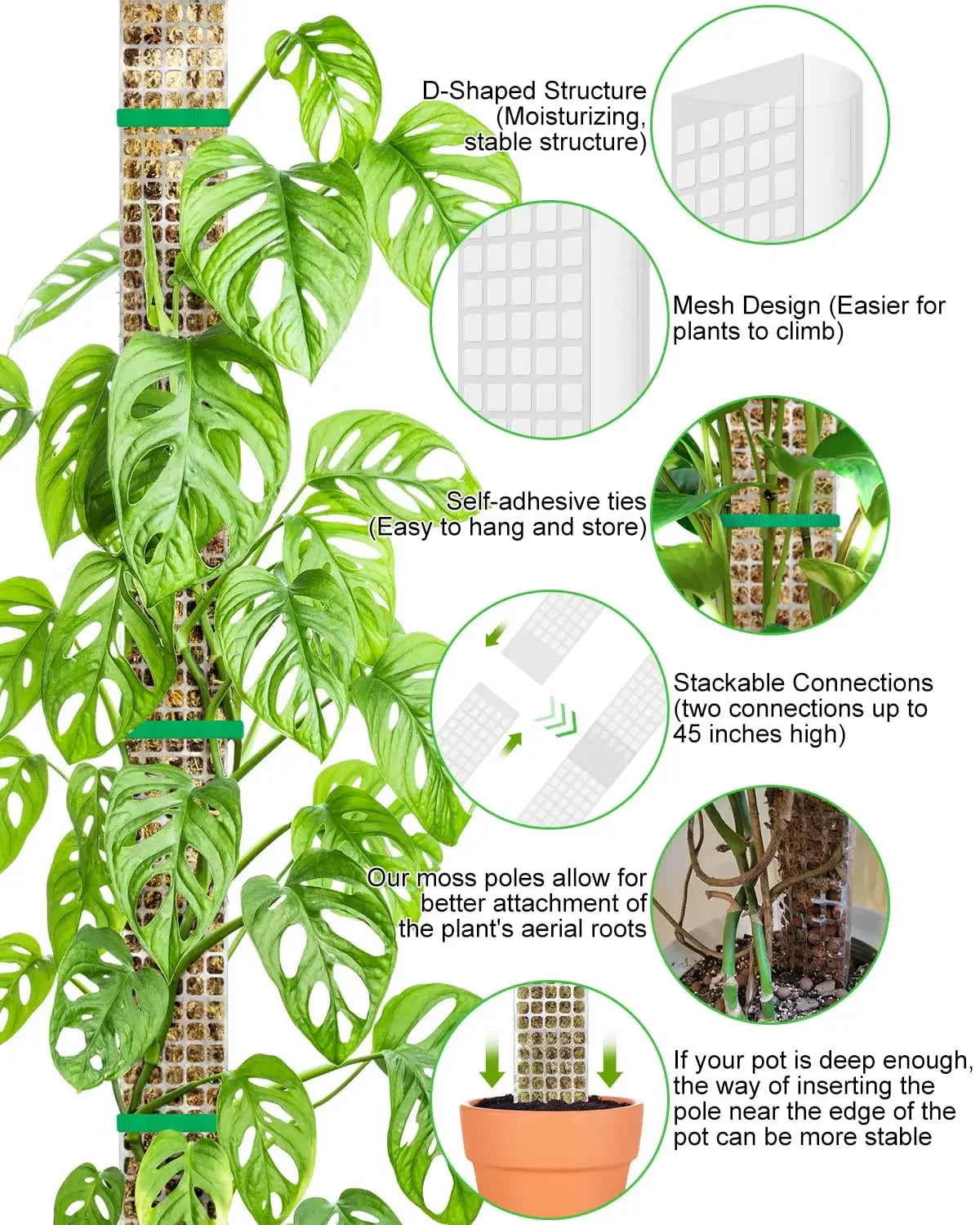 support croissance plantes vertes moderne adhésif pliante pot éco compatibleintérieurextérieur