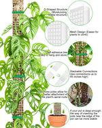support croissance plantes vertes moderne adhésif pliante pot éco compatibleintérieurextérieur
