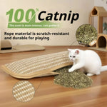 tapis chat moderne beige tissé résistant jouet interactif minimaliste
