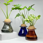 vase verre hydroponie transparent bleu ambré gris plante décoration table moderne minimaliste