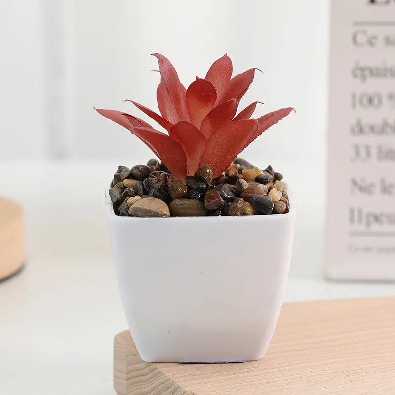 plantes succulentes artificielles vert rouge marron moderne minimaliste intérieur décoration maison