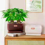 pots fleurs auto arrosants marron blanc texturés moderne jasmin plantes