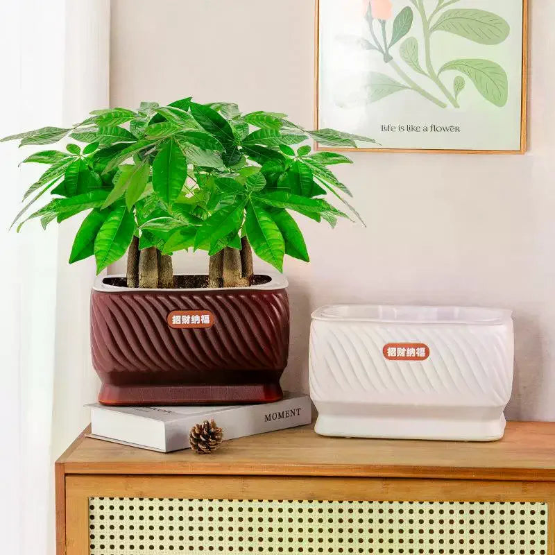 pots fleurs auto arrosants marron blanc texturés moderne jasmin plantes