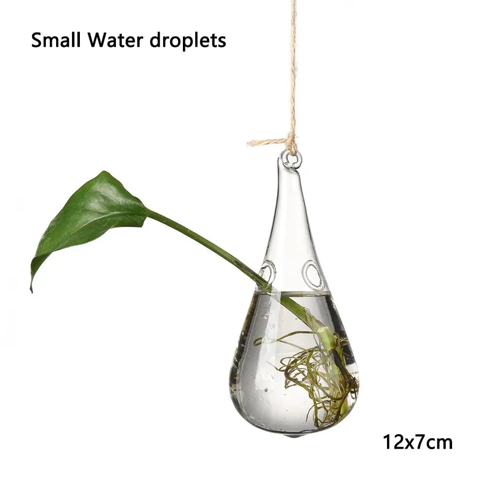 vases suspendus verre transparent motifs oiseaux coeurs plantes vertes minimaliste terrarium hydroponie