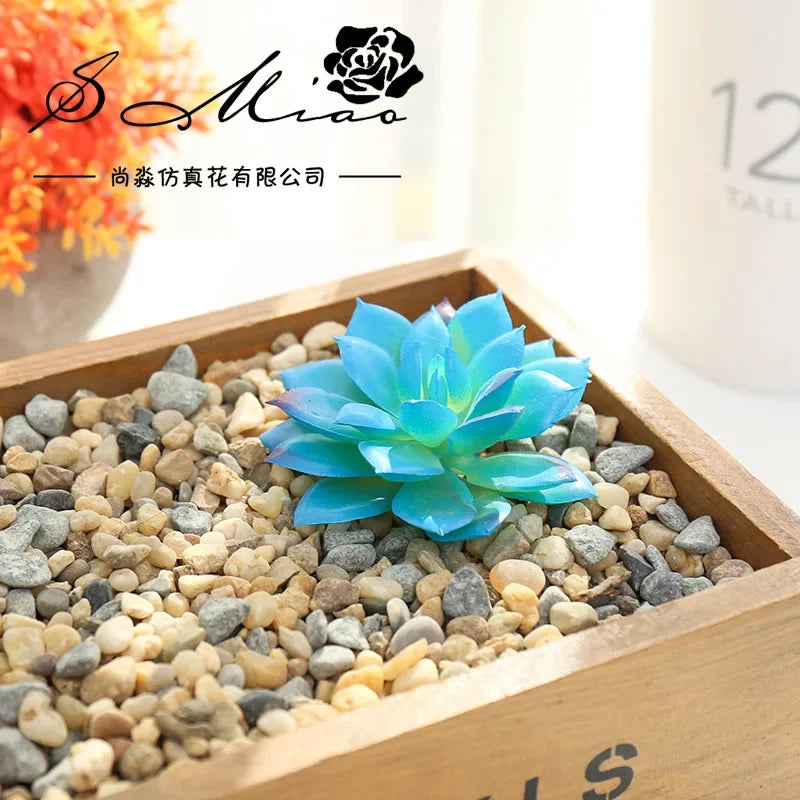 plantes succulentes artificielles vert feuilles pointues réaliste gravier boîte bois extérieur anniversaire exposantDecoration