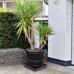 plateaux dengouttage plante pot fleur jardinage semis germination durable materiel plastique finition non enduite