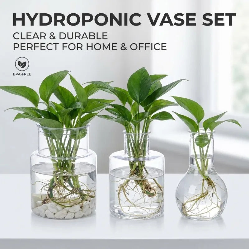 vases hydroponiques transparents modernes plantes tables jardins décoration bureaux